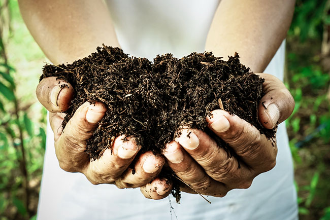 compostable-bg-3